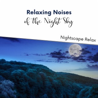 Relaxing Noises of the Night Sky