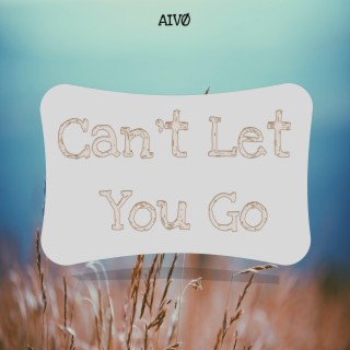 Can't Let You Go