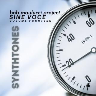 Sine Voce, Volume Fourteen: SynthTONES