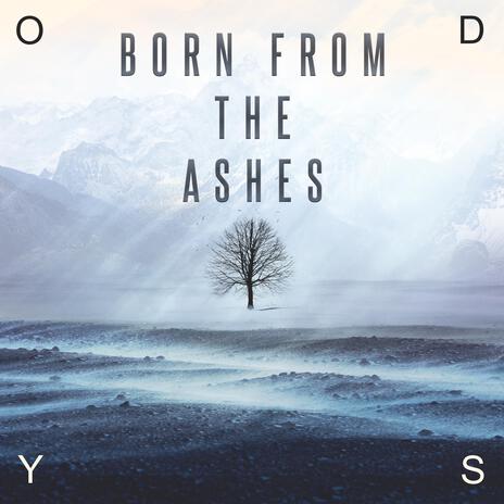 Born from the Ashes | Boomplay Music