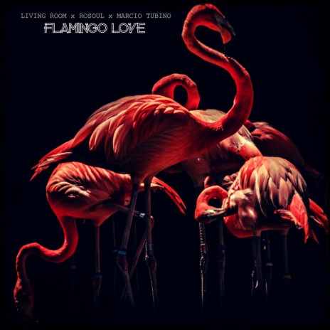 Flamingo Love ft. Rosoul & Márcio Tubino