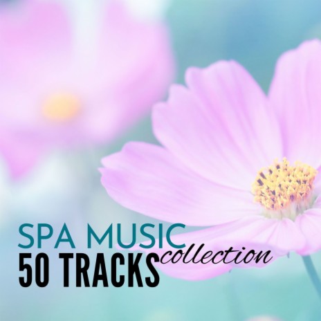 Spa Music With Nature Sounds | Boomplay Music