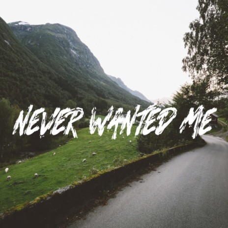 Never Wanted Me | Boomplay Music