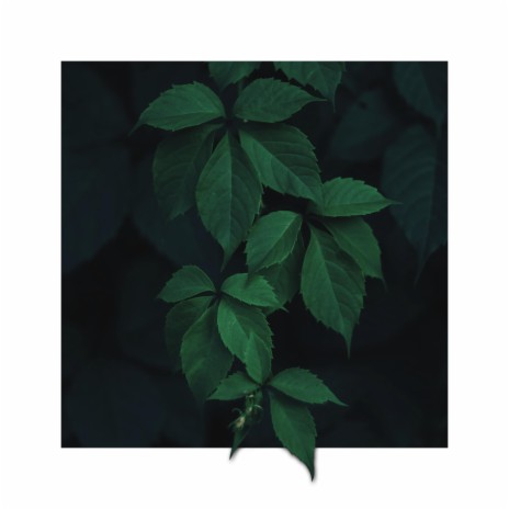 untitled plant song | Boomplay Music