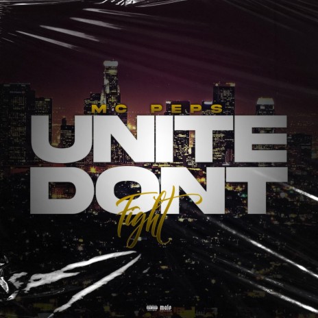 Unite Don't Fight | Boomplay Music