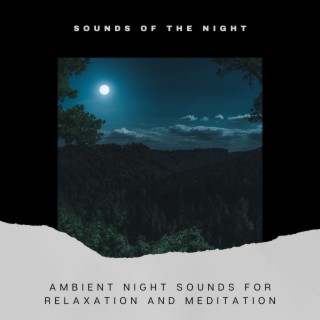 Ambient Night Sounds for Relaxation and Meditation