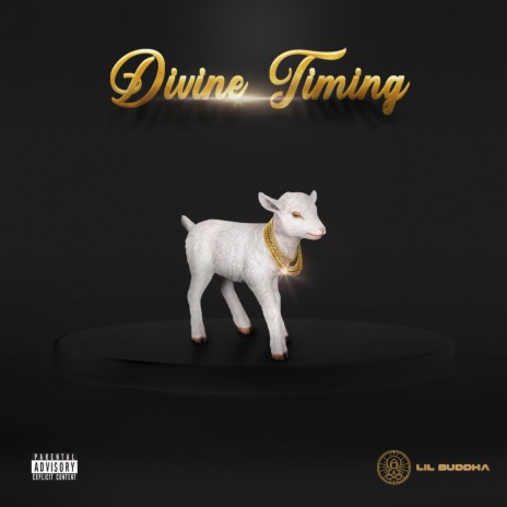 Divine Timing | Boomplay Music