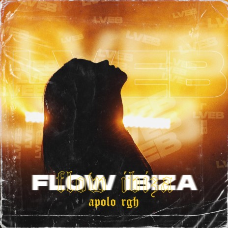 Flow Ibiza | Boomplay Music