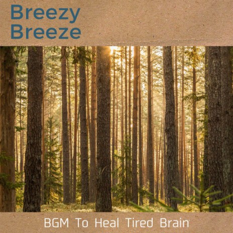 Aroma of a Calm Mind | Boomplay Music