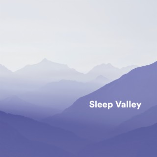 Sleep Valley