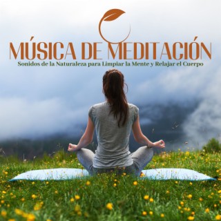 Música de Meditación: Sonidos de la Naturaleza para Limpiar la Mente y Relajar el Cuerpo