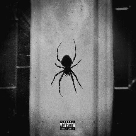 Spidey (Kolo) | Boomplay Music