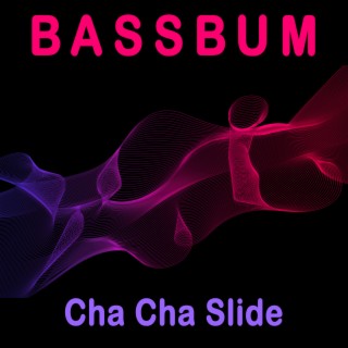 Download Bassbum album songs Cha Cha Slide Boomplay Music