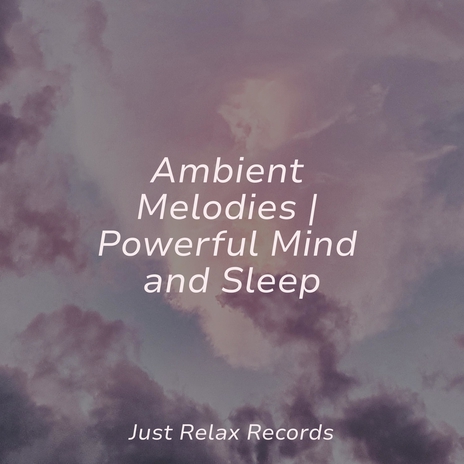 Zen's Tranquil Embrace ft. Meditation Awareness & Ambiente | Boomplay Music