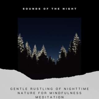 Gentle Rustling of Nighttime Nature for Mindfulness Meditation