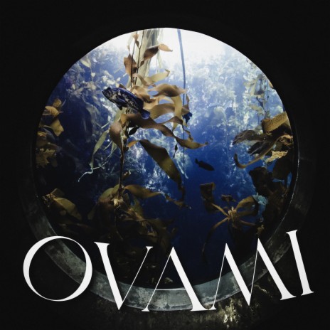 Ovami | Boomplay Music