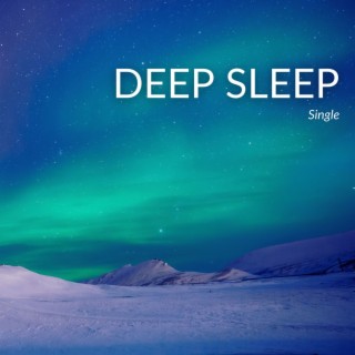 Deep Sleep: Single
