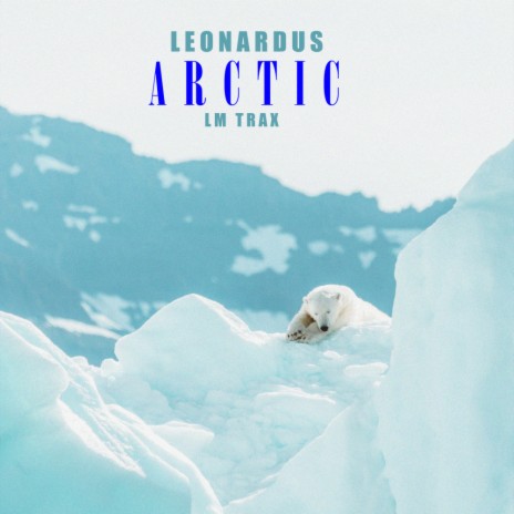 Arctic | Boomplay Music