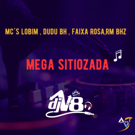 MTG - MEGA SITIOZADA (DJ V8 Remix) ft. MC LOBIM, MC DUDU BHZ, MC FAIXA ROSA, MC RM BHZ & DJ V8 | Boomplay Music