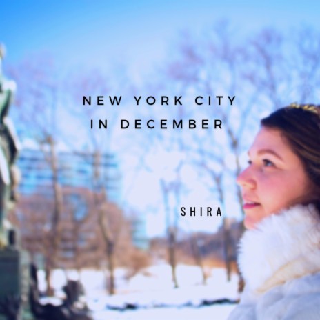 New York City in December