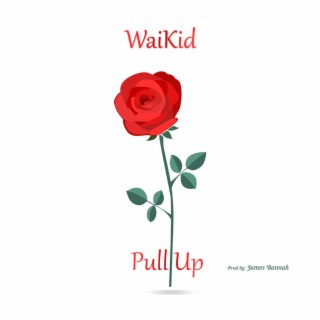 Pull Up lyrics | Boomplay Music