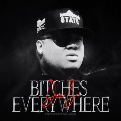Bitches Everywhere | Boomplay Music