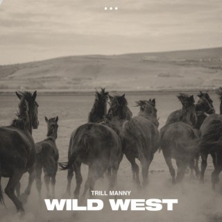 wild west lyrics | Boomplay Music