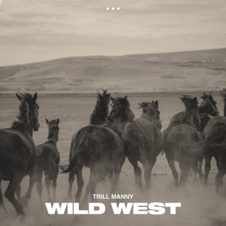 wild west | Boomplay Music