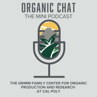 Organic Chat Part 1: Kelly O’Neil
