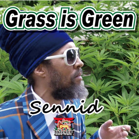 GRASS IS GREEN ft. irieweb sounds | Boomplay Music