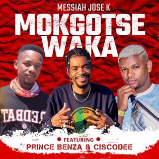 Mogotse Waka