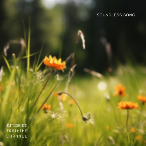 Soundless Song (Meditation) ft. New Age & Meditation Music Masters | Boomplay Music