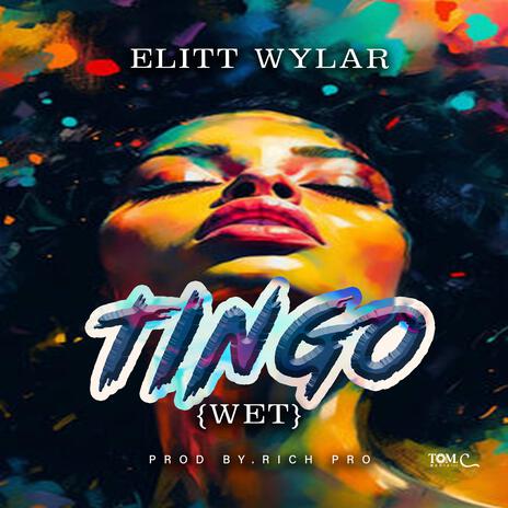 Tingo (Wet) | Boomplay Music