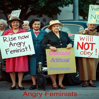 Angry Feminists