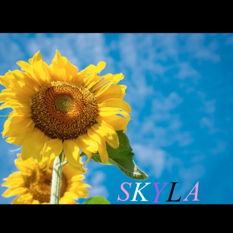 Skyla | Boomplay Music