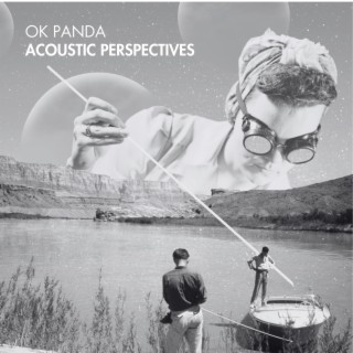 ACOUSTIC PERSPECTIVES