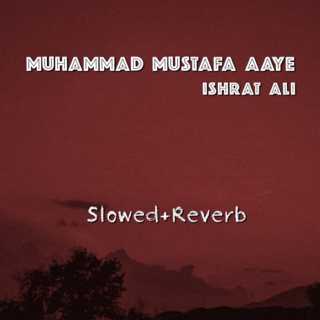 Muhammad Mustafa Aaye | Boomplay Music