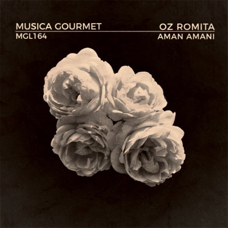 Aman Amani (Radio Edit) | Boomplay Music