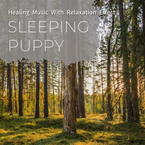 Soothing Music Mind | Boomplay Music