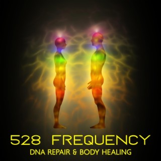 528 Frequency: DNA Repair & Body Healing