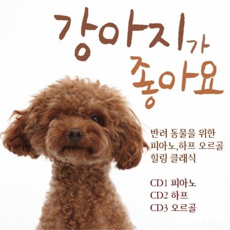 Massenet : Meditaion De Thais (마스네 : 타이스의 명상) | Boomplay Music