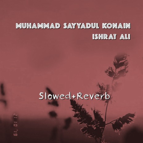 Muhammad Sayyadul Konain