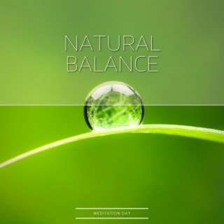 Natural Balance