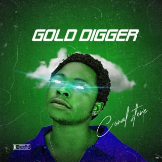 Gold digger lyrics | Boomplay Music