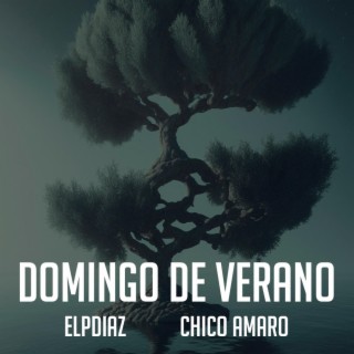 Domingo de verano ft. Chico Amaro lyrics | Boomplay Music