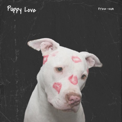 Puppy Love | Boomplay Music