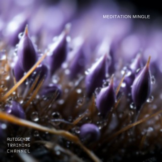 Meditation Mingle