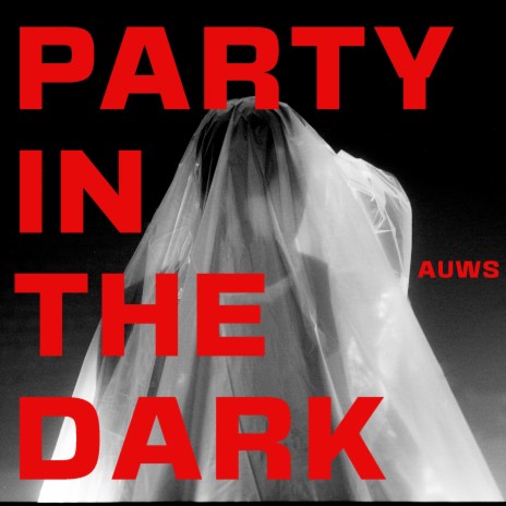 Party In The Dark | Boomplay Music