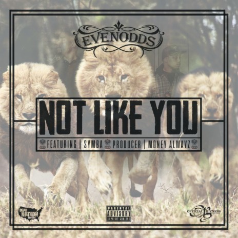 Not Like You ft. Symba | Boomplay Music