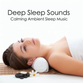 Deep Sleep Sounds - Calming Ambient Sleep Music